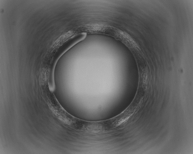 X0000086070546200704091238