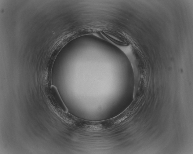 X0000086070548200704091238