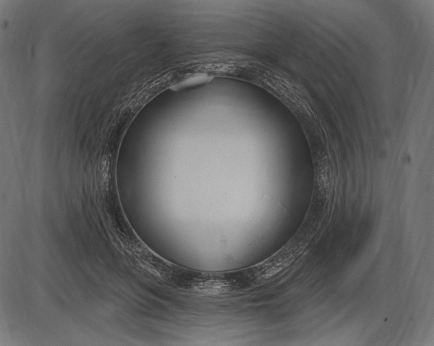 X0000086070551200704091238