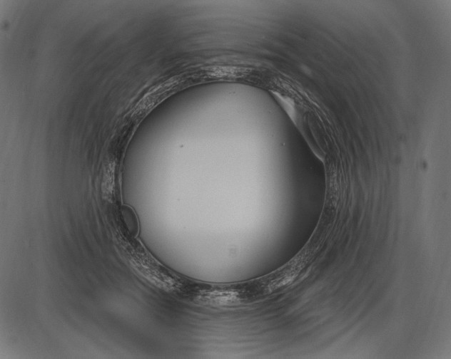 X0000086070554200704091238