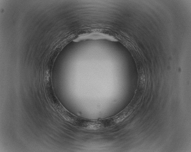 X0000086070555200704091238