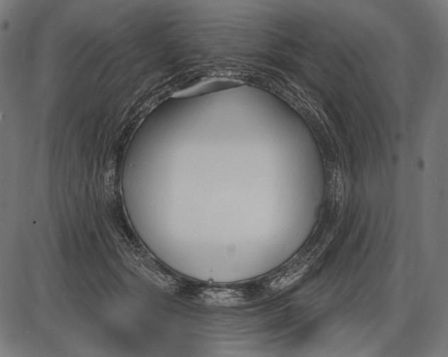 X0000086070557200704091238