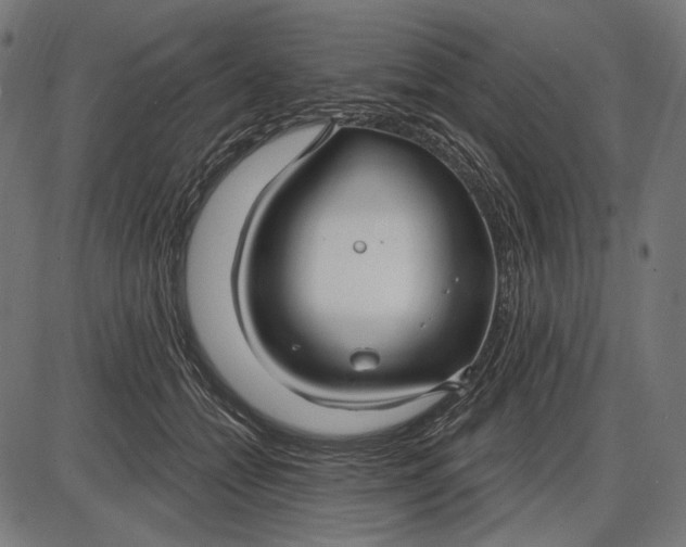 X0000086070558200704091238