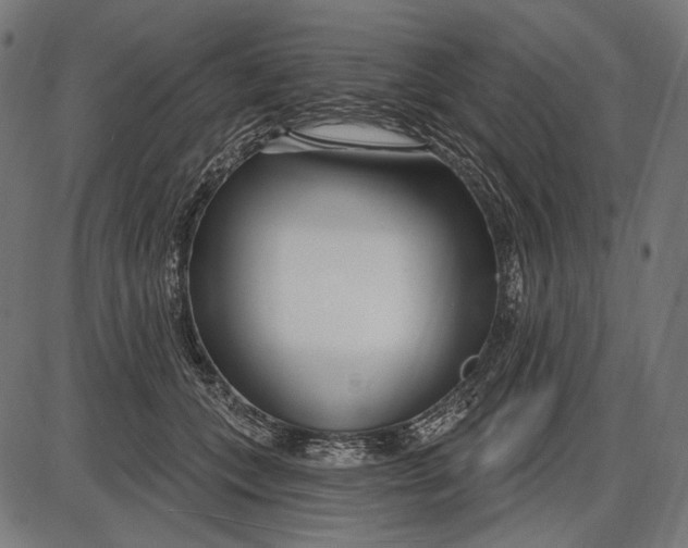 X0000086070559200704091238
