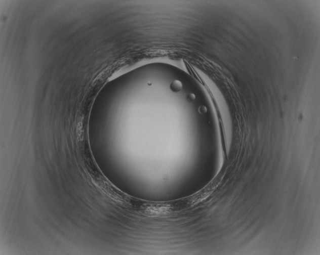 X0000086070560200704091238