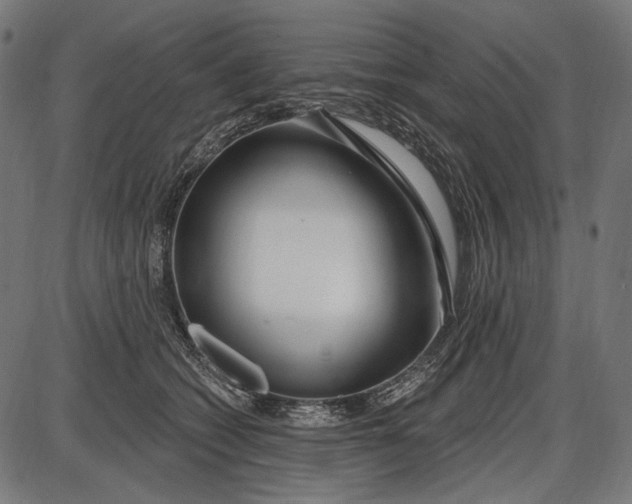 X0000086070562200704091238