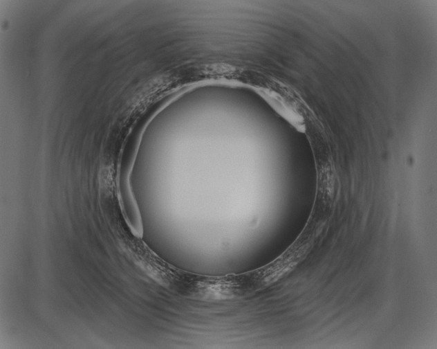 X0000086070564200704091238