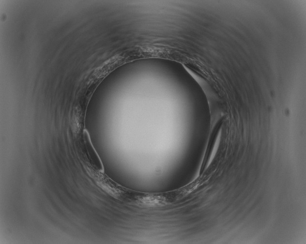 X0000086070566200704091238