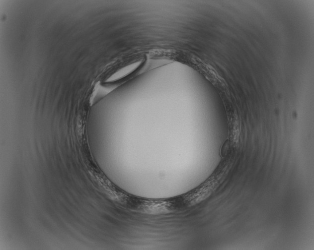 X0000086070569200704091238