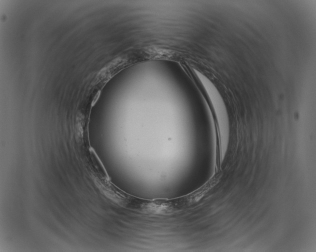 X0000086070570200704091238