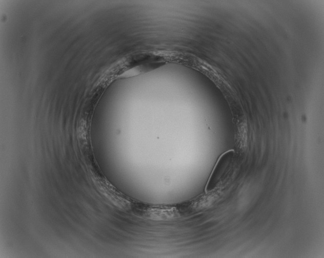 X0000086070571200704091238