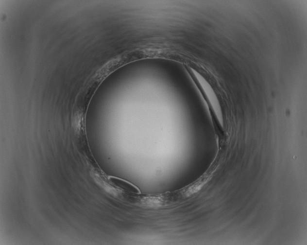 X0000086070574200704091238
