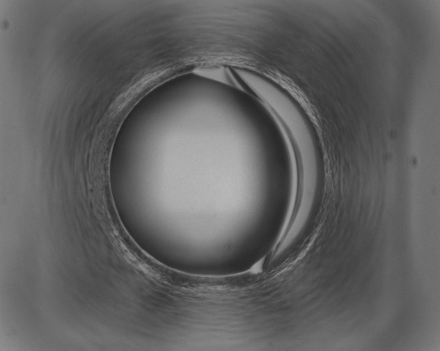 X0000086070577200704091238