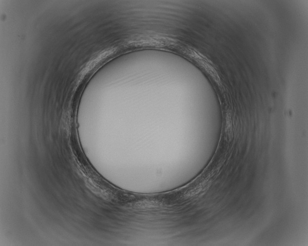 X0000086070578200704091238