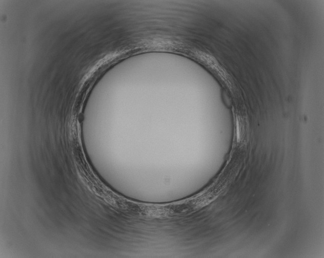 X0000086070579200704091238