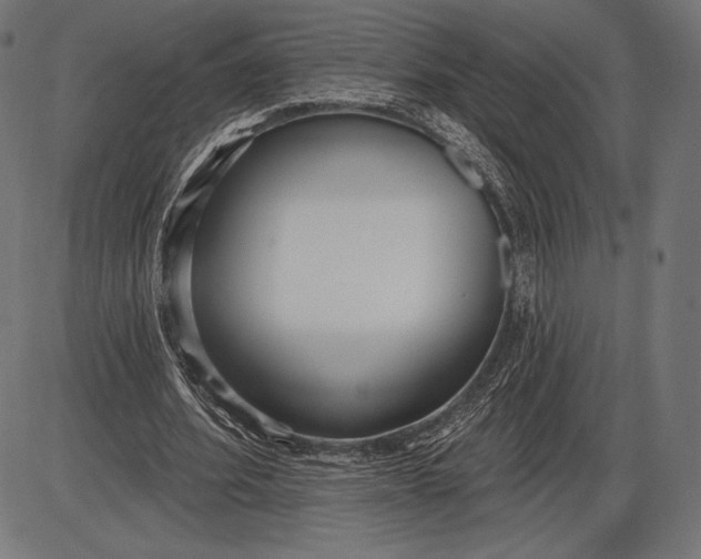 X0000086070580200704091237