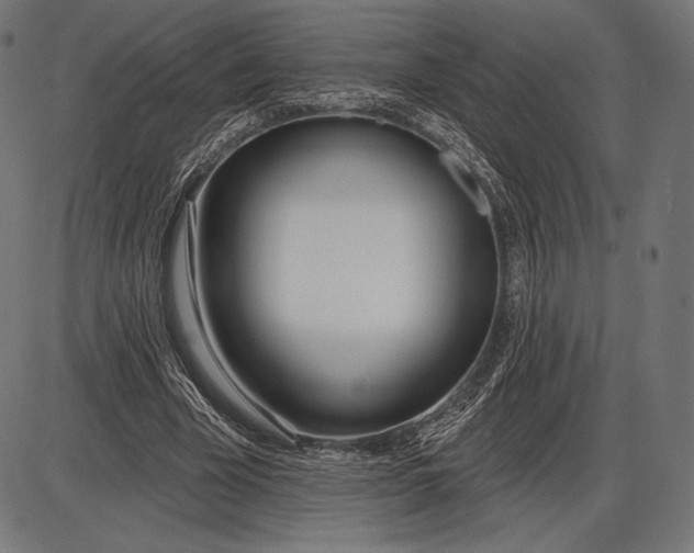 X0000086070585200704091237