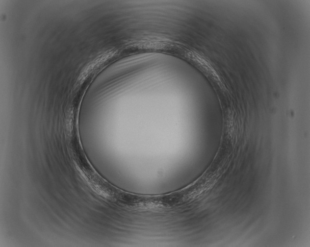 X0000086070586200704091237
