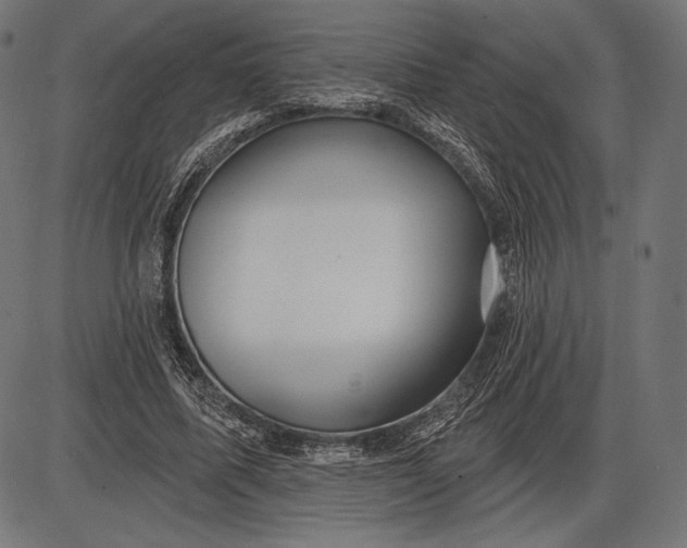 X0000086070587200704091237