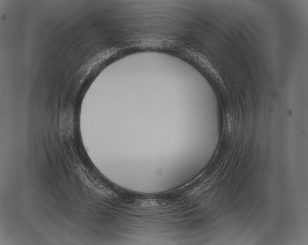 X0000086070588200704091237