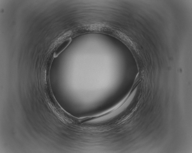 X0000086070589200704091237