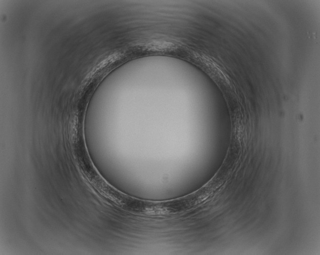 X0000086070591200704091237