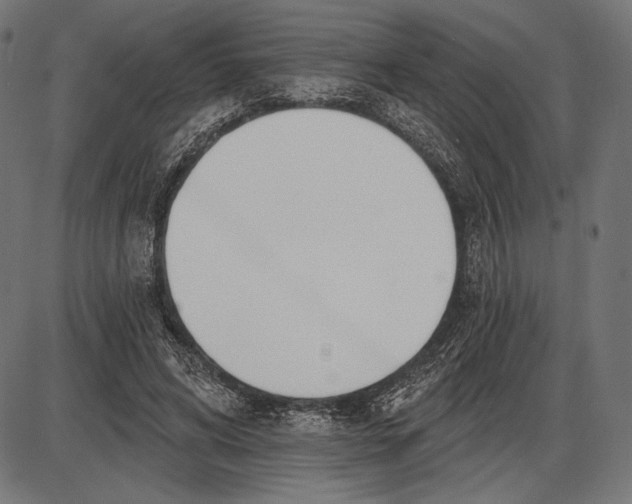 X0000086070592200704091237