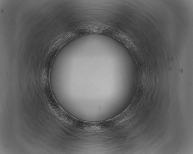 X0000086070594200704091237