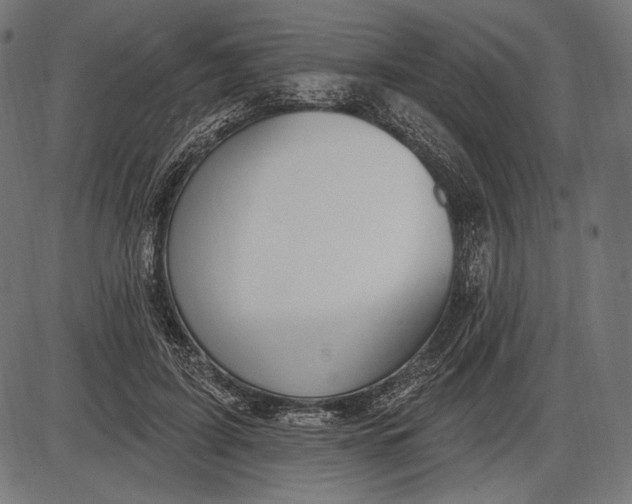X0000086070595200704091237