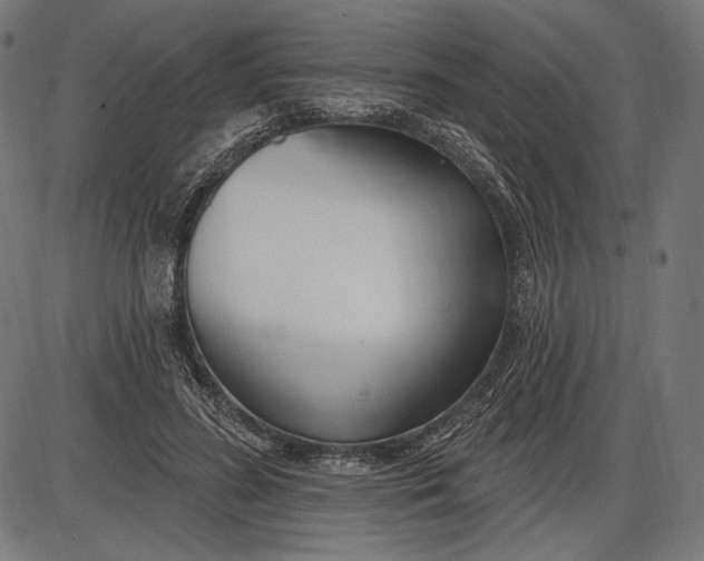 X0000086070596200704091237