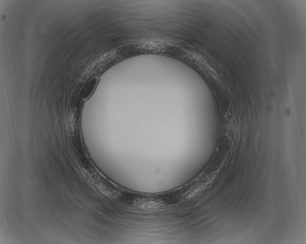 X0000086070597200704091237