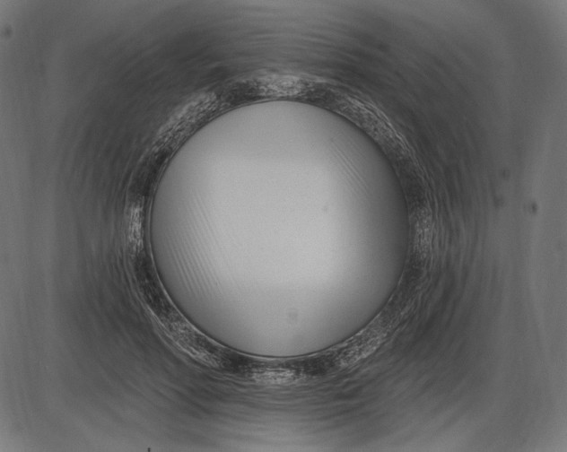 X0000086070598200704091237