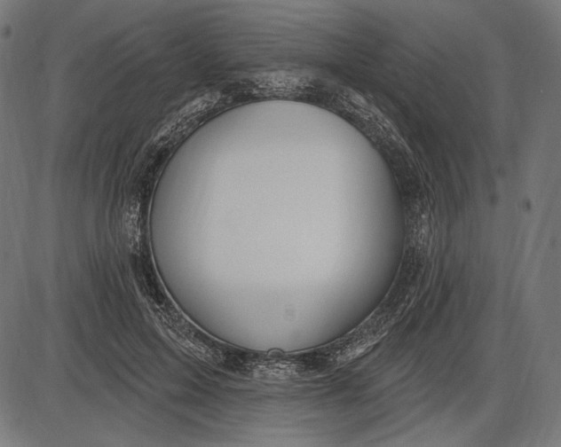 X0000086070599200704091237