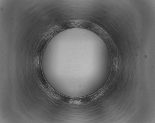 X0000086070602200704091237