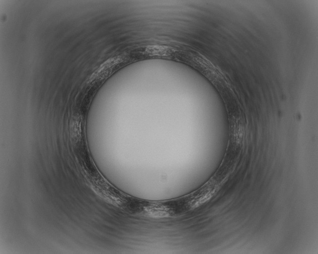 X0000086070603200704091237