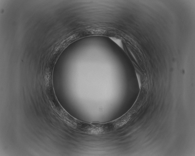 X0000086070604200704091237