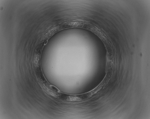 X0000086070605200704091237