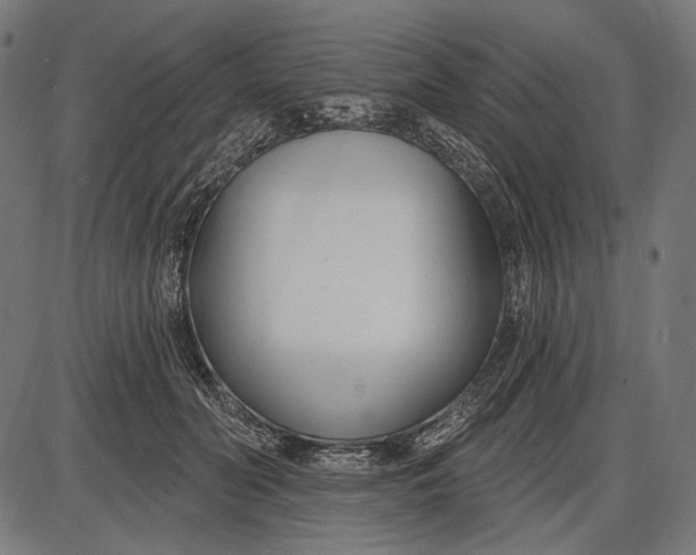 X0000086070606200704091237