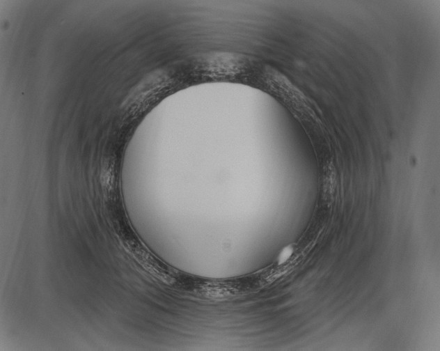 X0000086070608200704091237