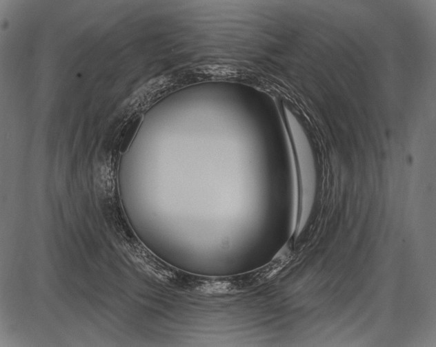 X0000086070609200704091237