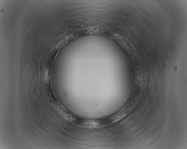 X0000086070610200704091237