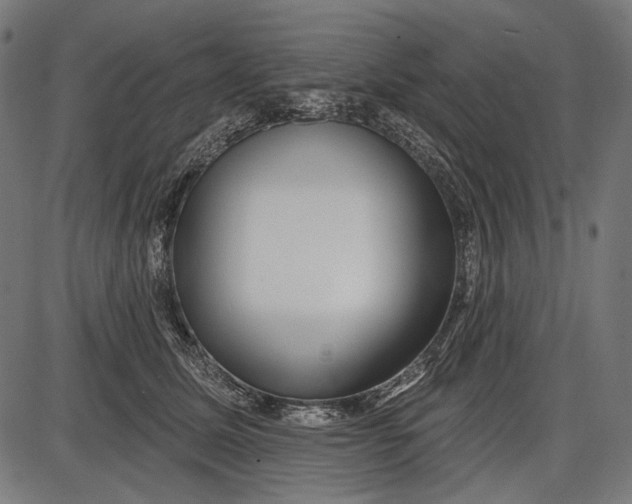 X0000086070611200704091237