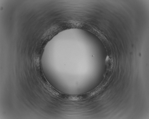 X0000086070613200704091237