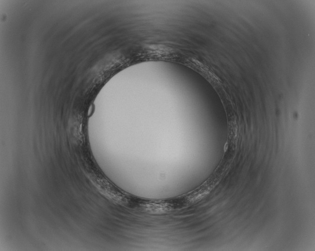 X0000086070615200704091237