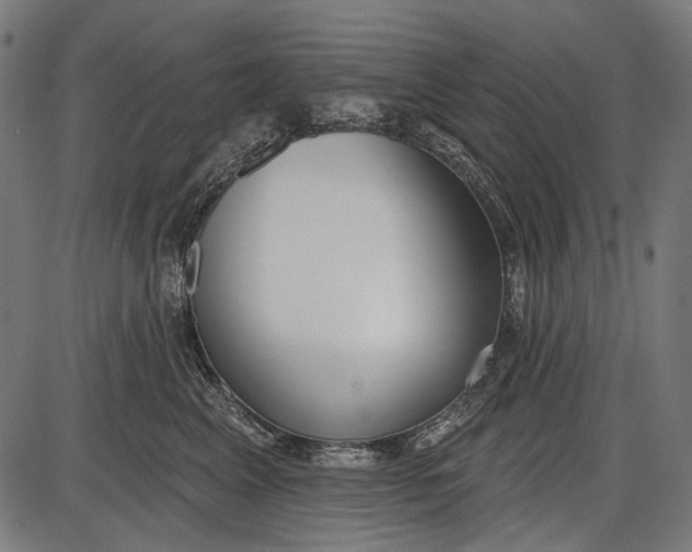 X0000086070617200704091237