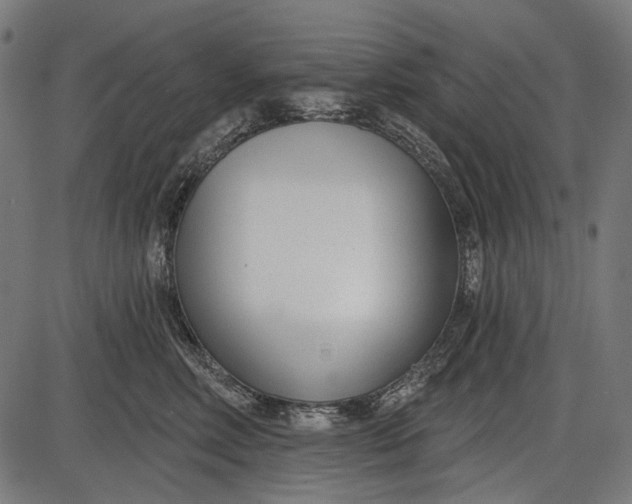 X0000086070618200704091237