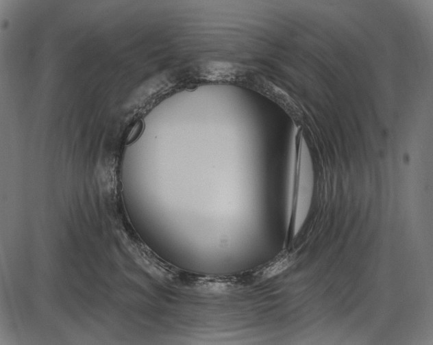 X0000086070620200704091237