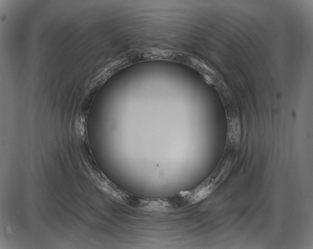 X0000086070621200704091237