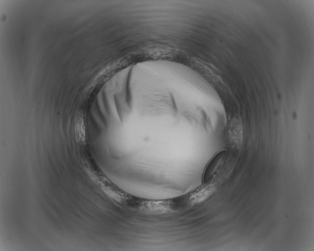 X0000086070622200704091237