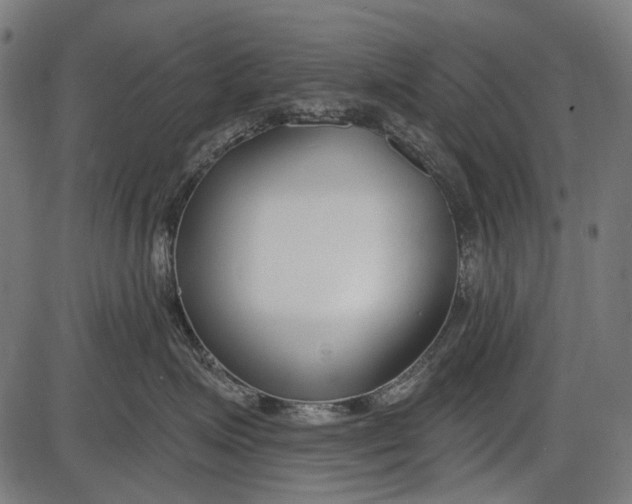 X0000086070623200704091237